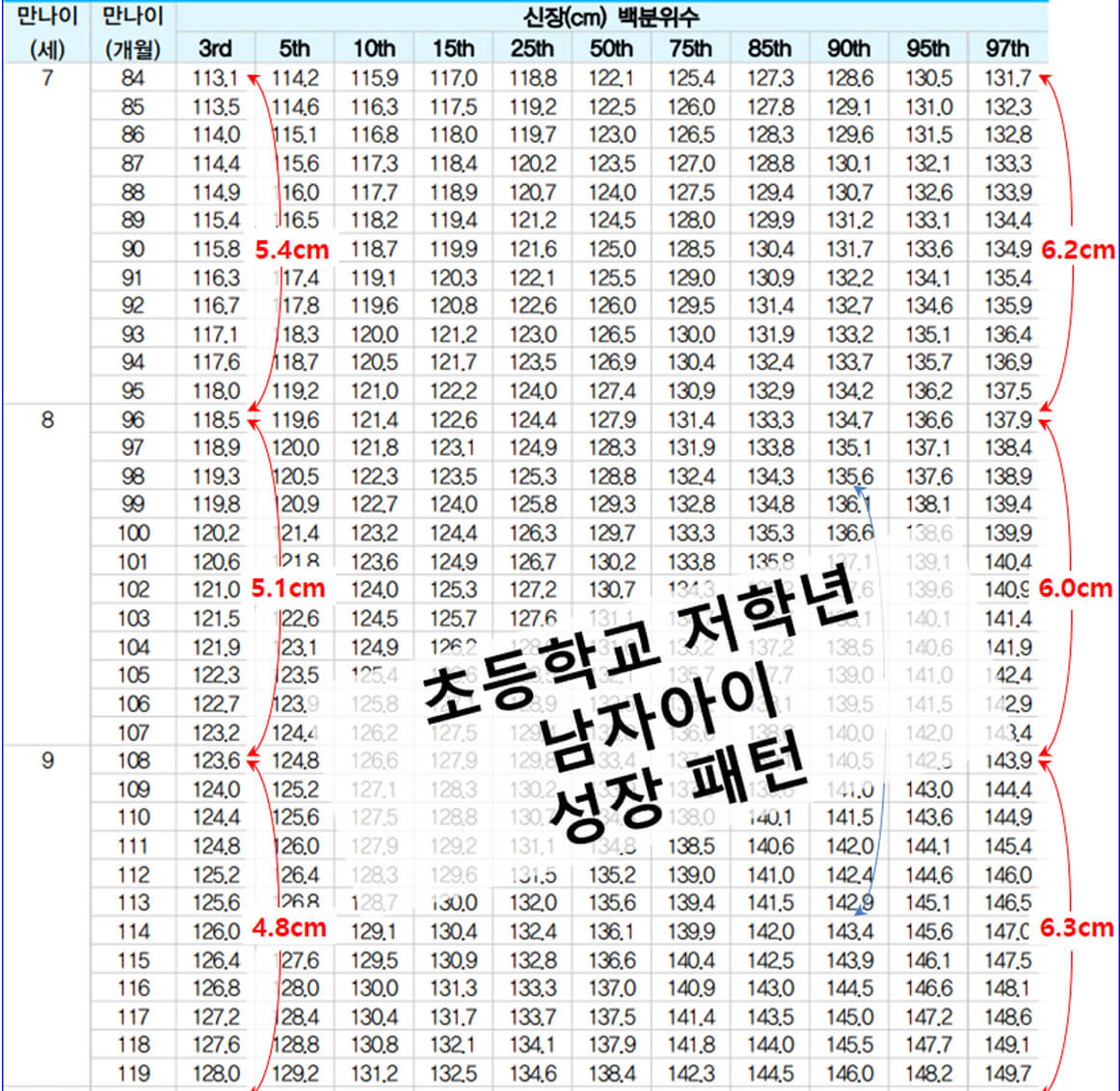 초등학교저학년남자아이성장패턴